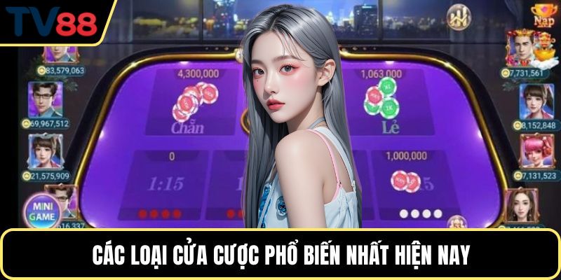 Các loại cửa cược phổ biến nhất hiện nay