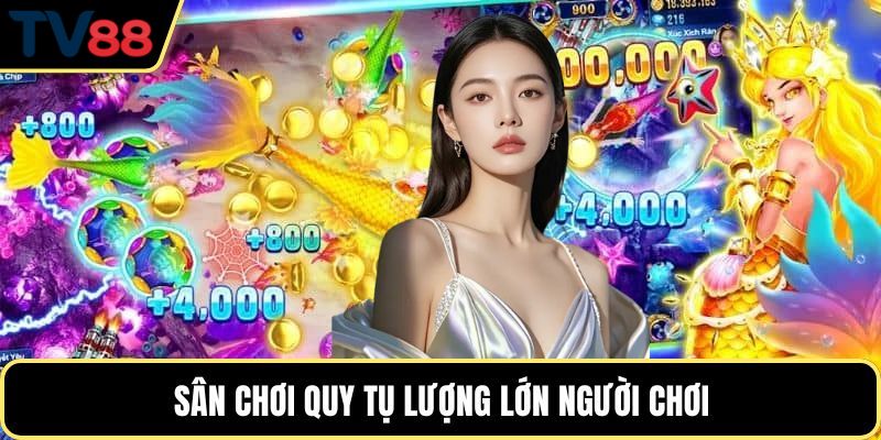 Sân chơi quy tụ lượng lớn người chơi
