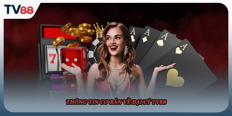 Thông tin cơ bản về đại lý TV88